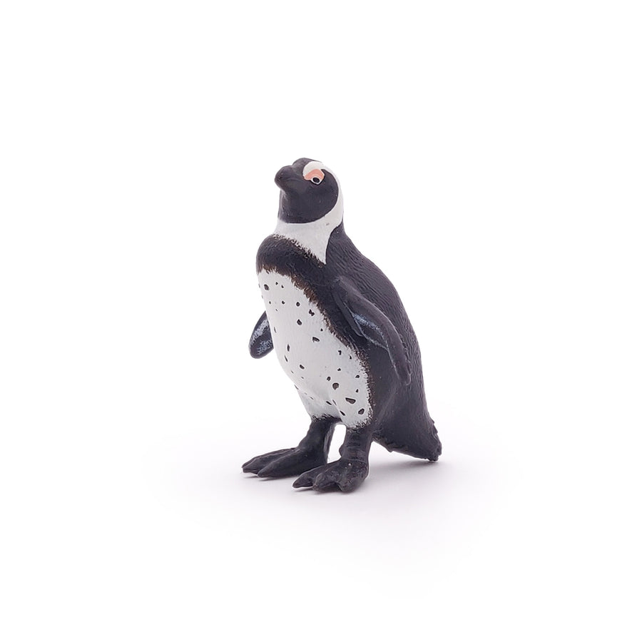 Papo African Penguin