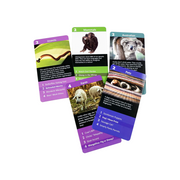 Go Fish - Funky Animals