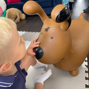 Happy Hopperz BROWN DOG - Space Hopper For Little People
