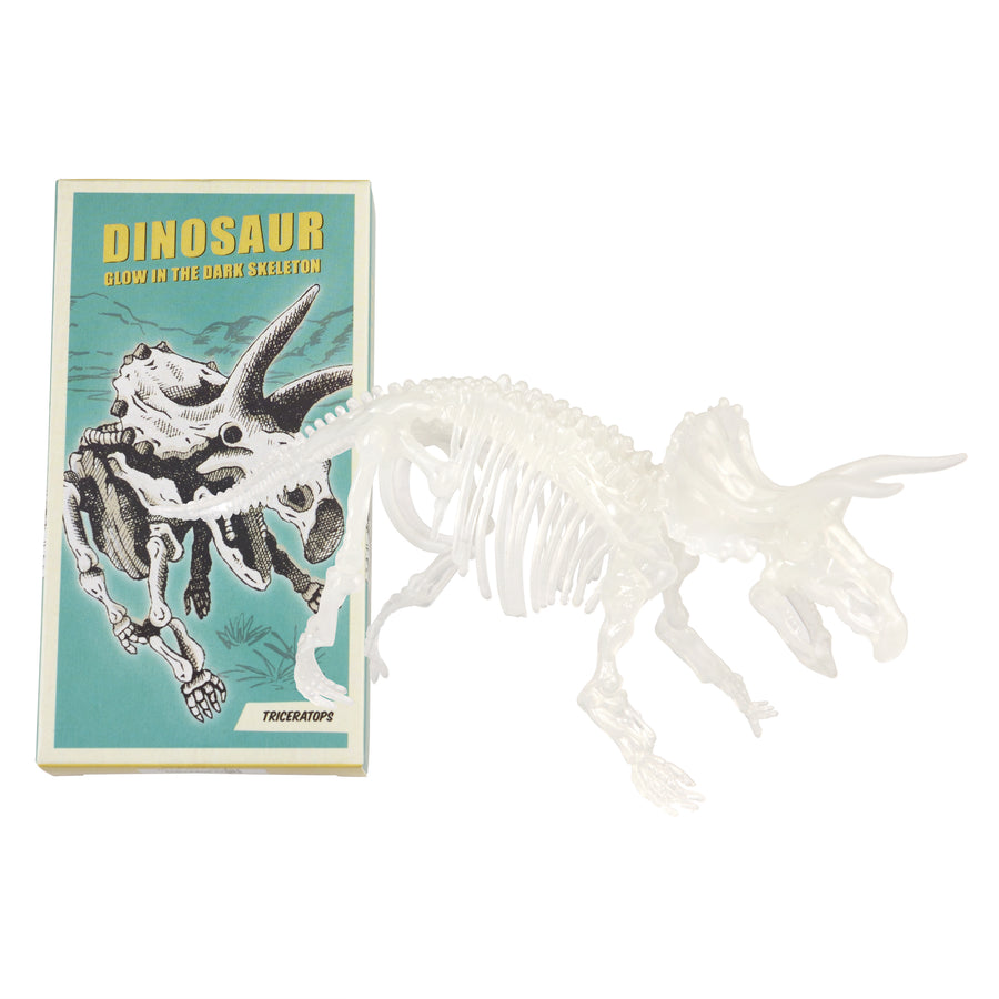 Rex London Assorted Glow-In-The-Dark Dinosaur Skeleton Kit - 28897