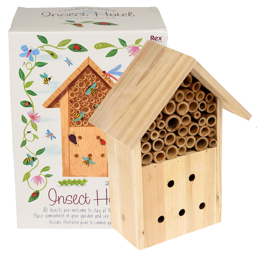 Rex London Bug hotel - Wonders of Nature-29327