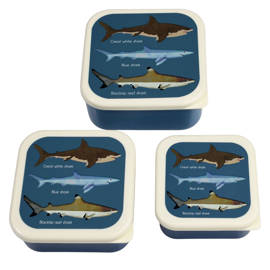 Rex London Snack Boxes (Set Of 3) - Sharks - 29497