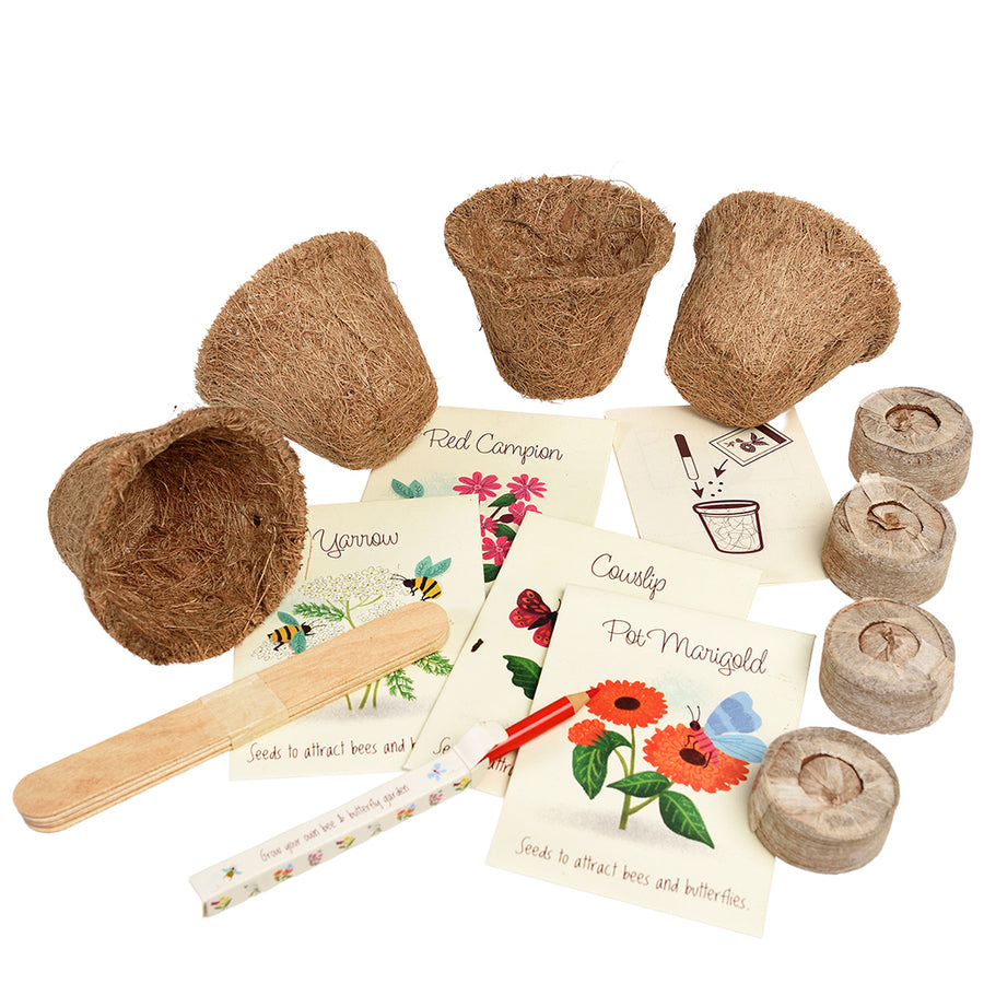 Rex London Flower growing kit - Bee and Butterfly-30083