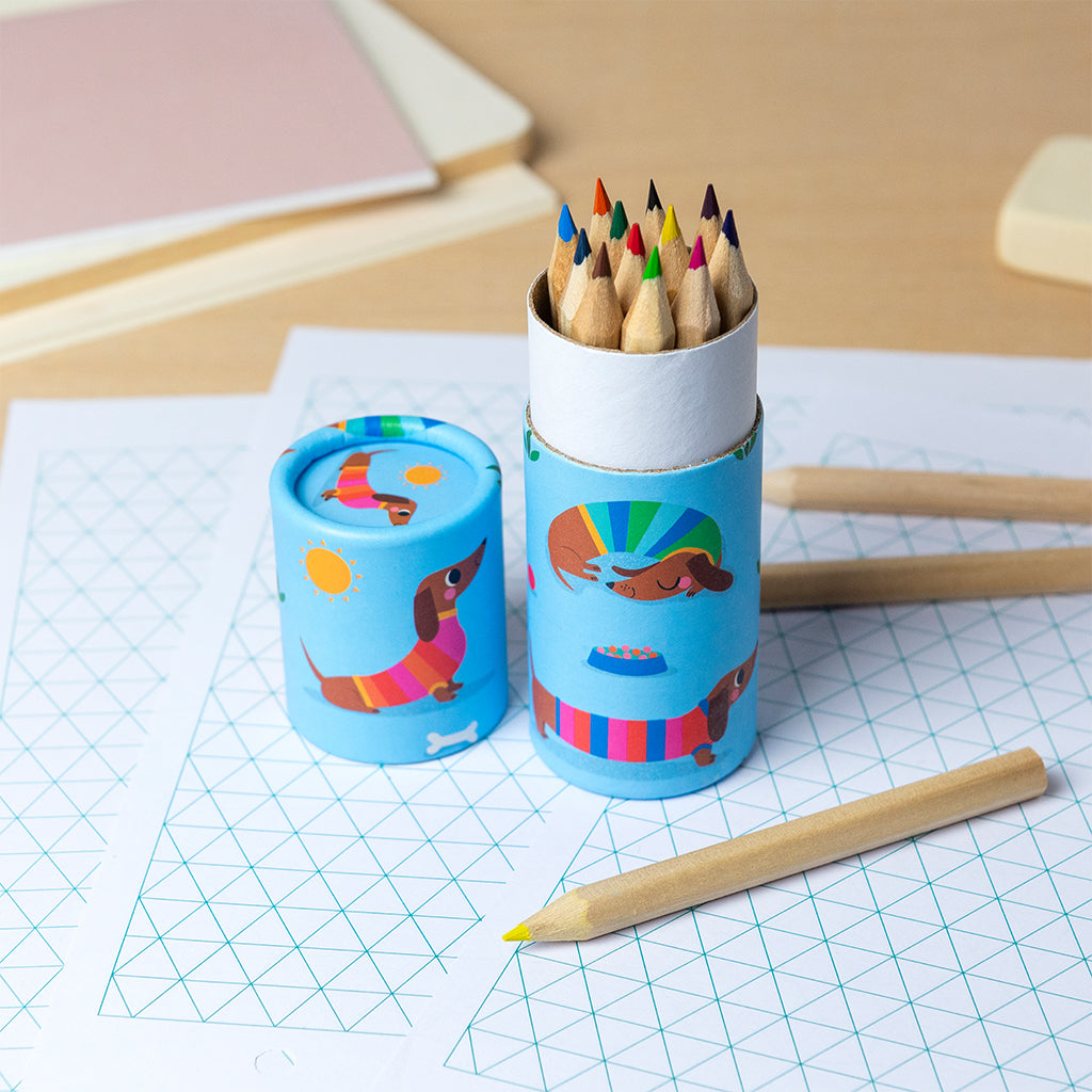 Rex London Tube of colouring pencils - Sunny Sausage Dog - 30843
