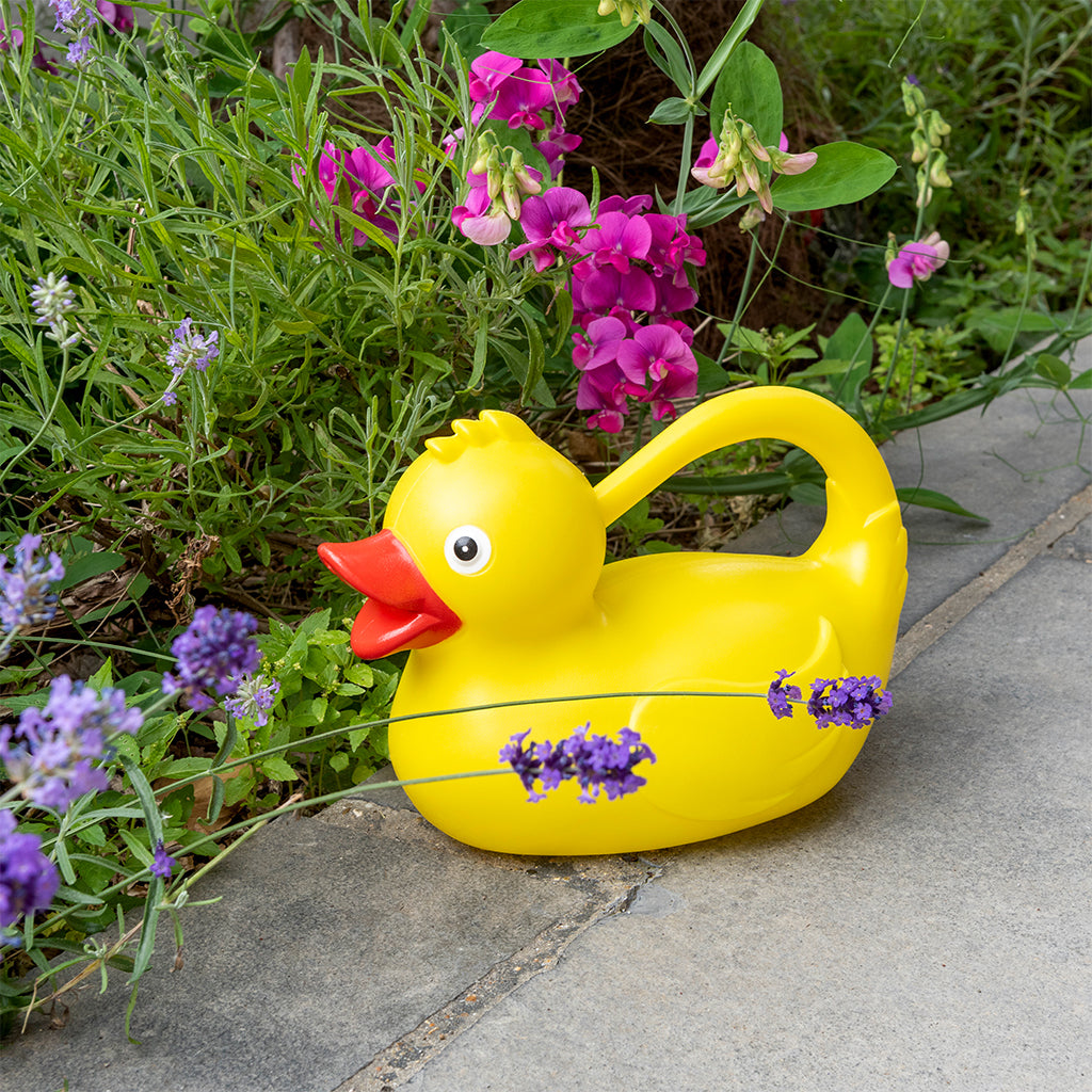 Rex London Watering can (1.8Ltr) - Yellow Duck-30867