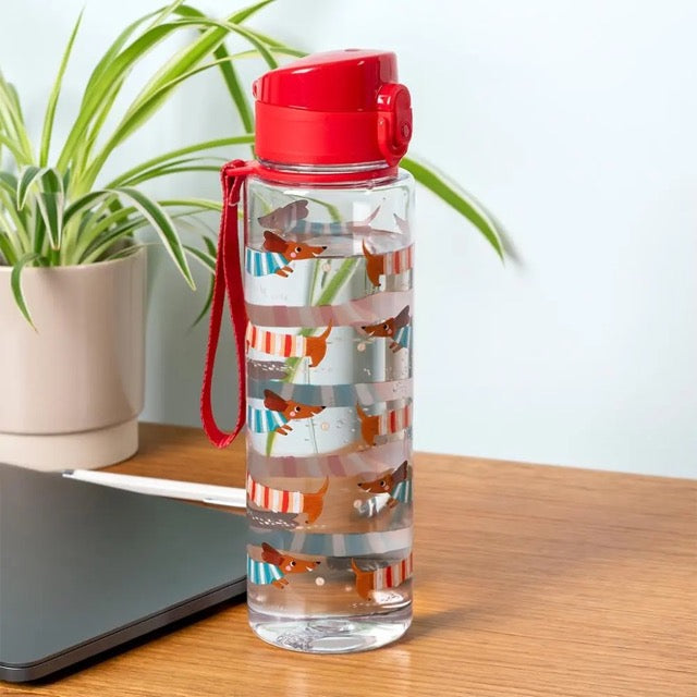 Rex London Drinks bottle with push button lid 700ml - Sausage Dog-30961