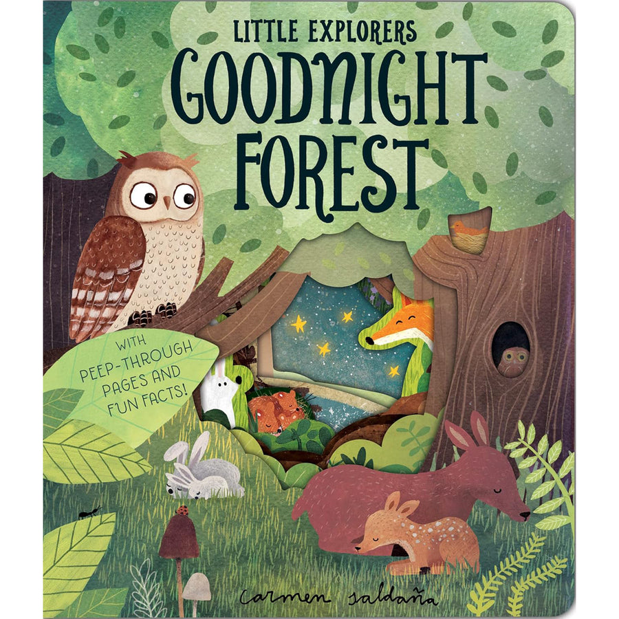 Goodnight Forest - 404544
