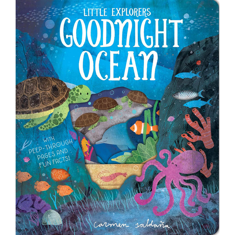 Goodnight Ocean - 404545