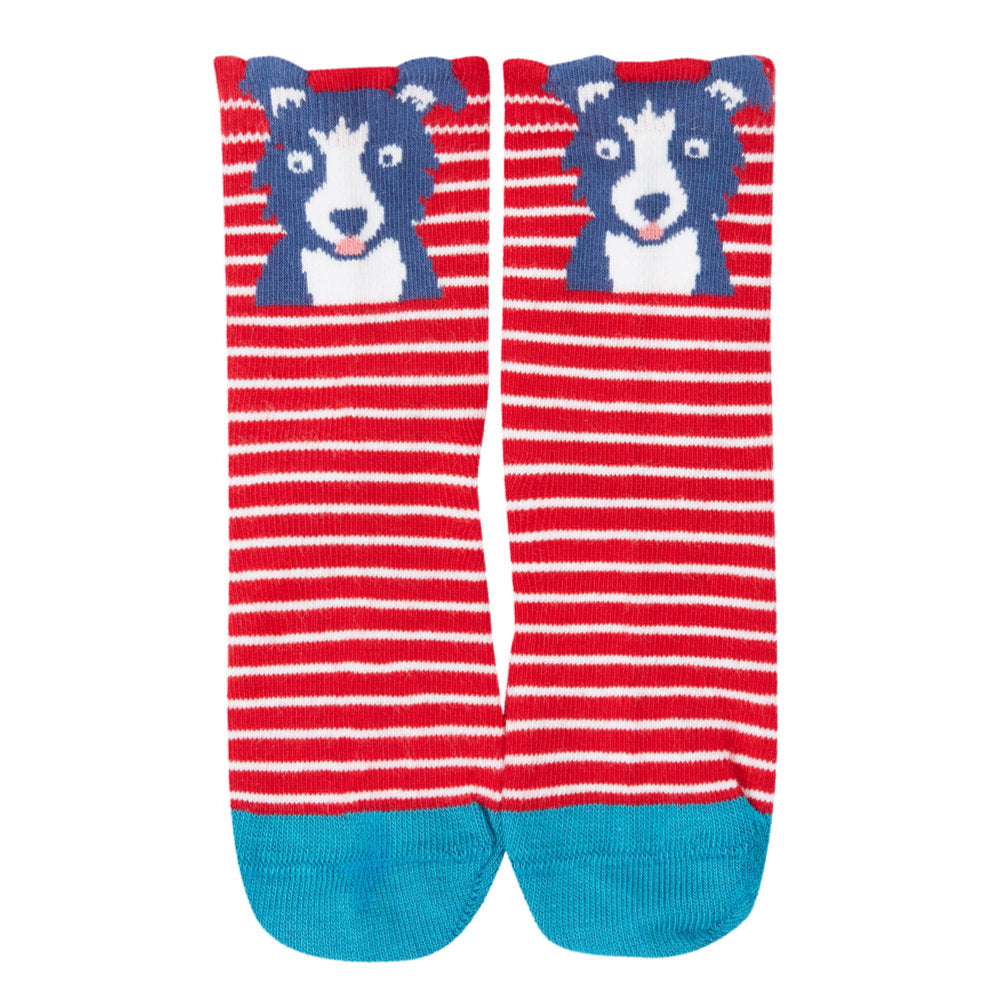 Frugi Little Socks 3 Pack - Farm Multipack