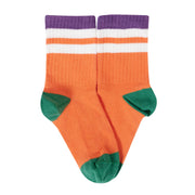 Frugi Reed Rib Socks 5 Pack - Rainbow Multipack