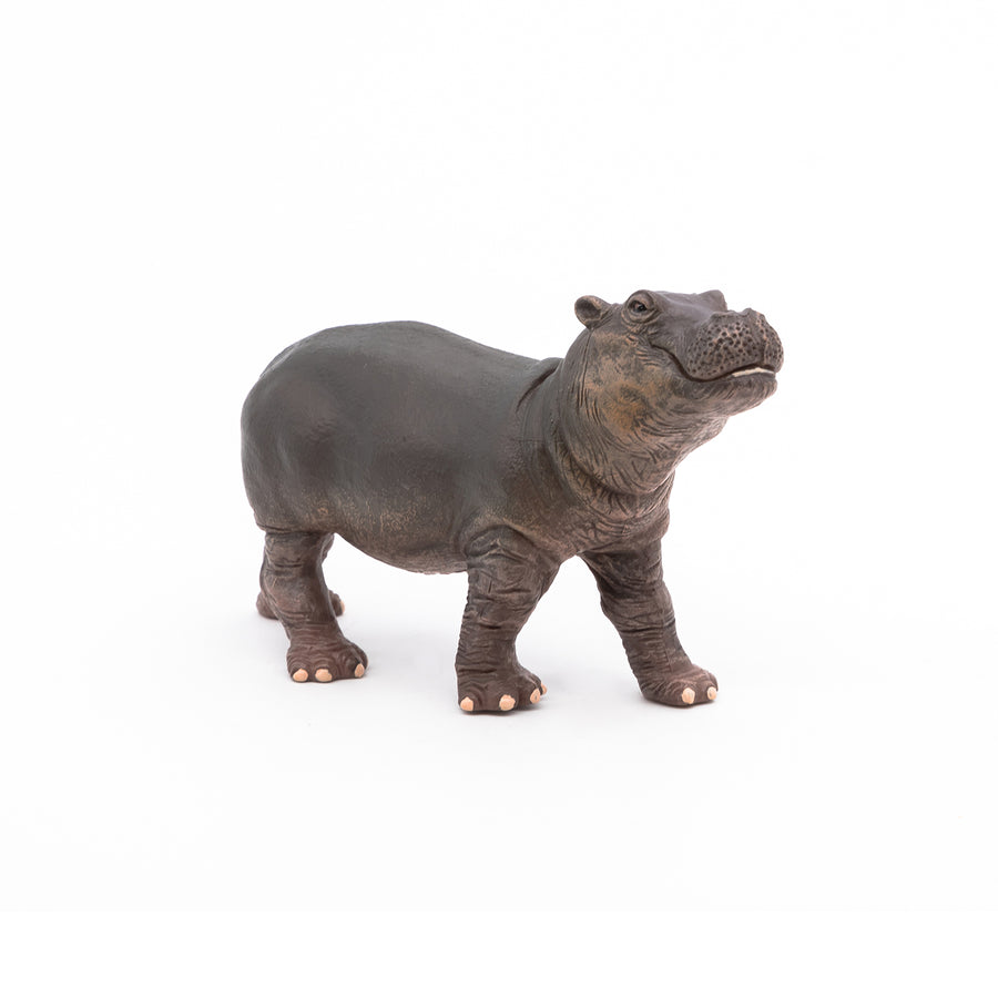 Papo Hippopotamus Calf