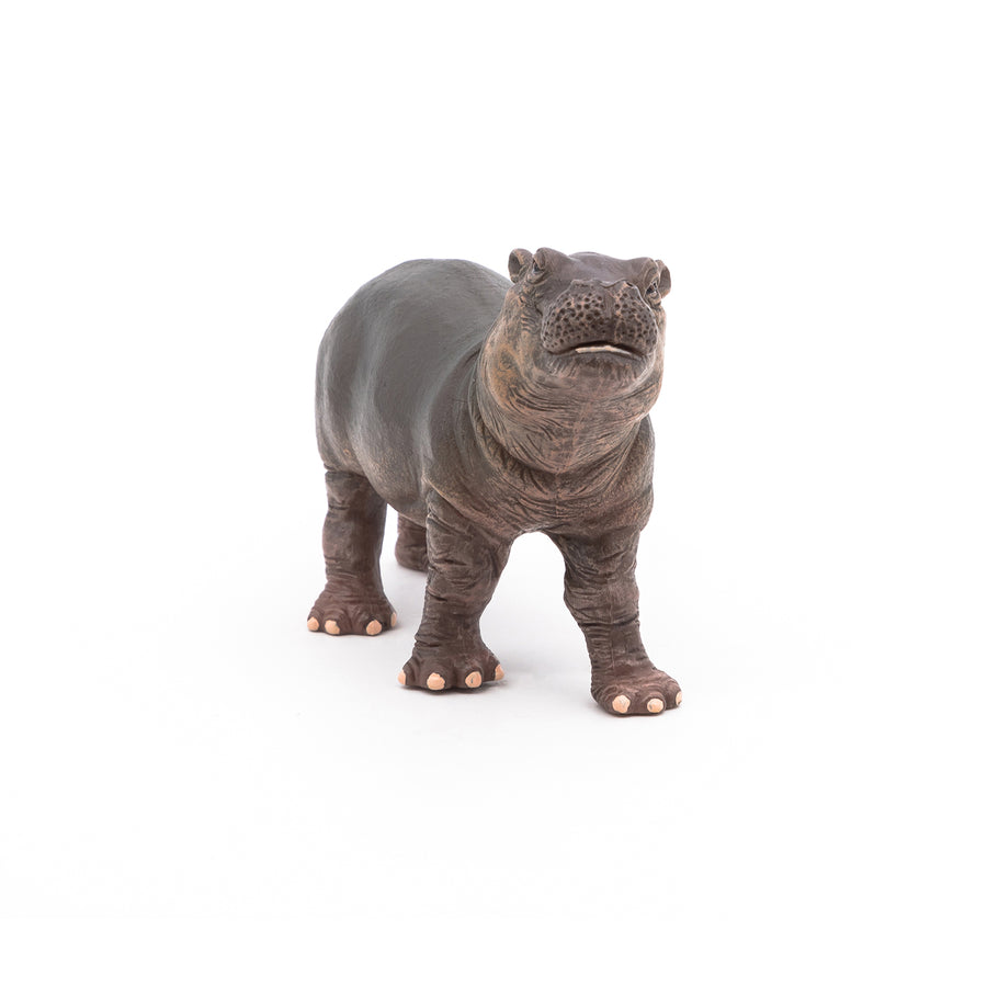 Papo Hippopotamus Calf