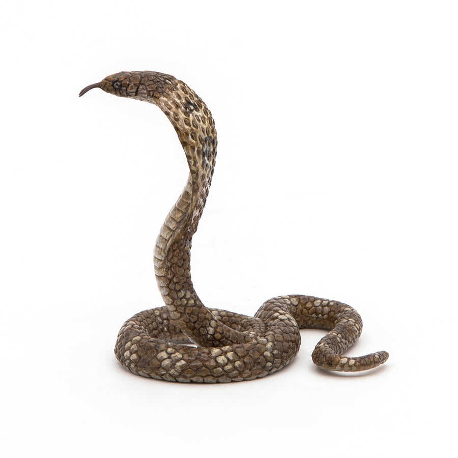 Papo King Cobra
