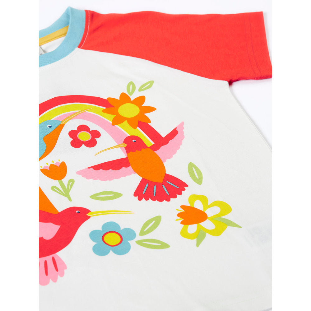 Frugi Tamar Raglan T-Shirt - Soft White/Hummingbird