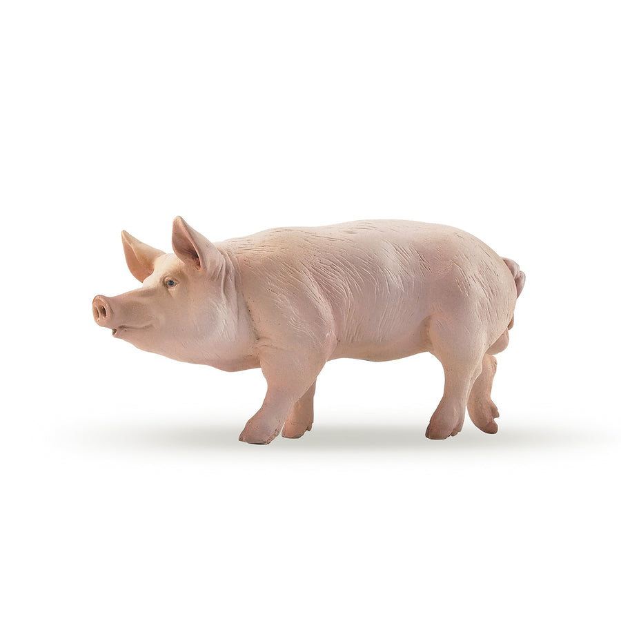 Papo Boar