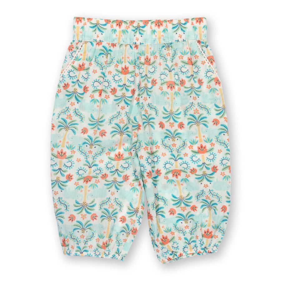 Kite Ele Oasis Pull Ups (52-9960-YGP)