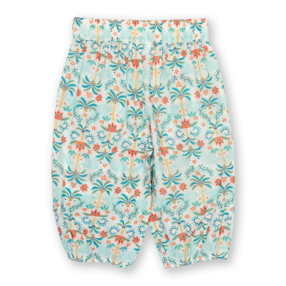 Kite Ele Oasis Pull Ups (52-9960-YGP)