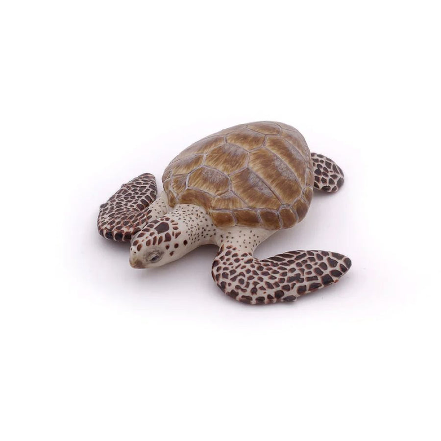 Papo Loggerhead turtle 56005