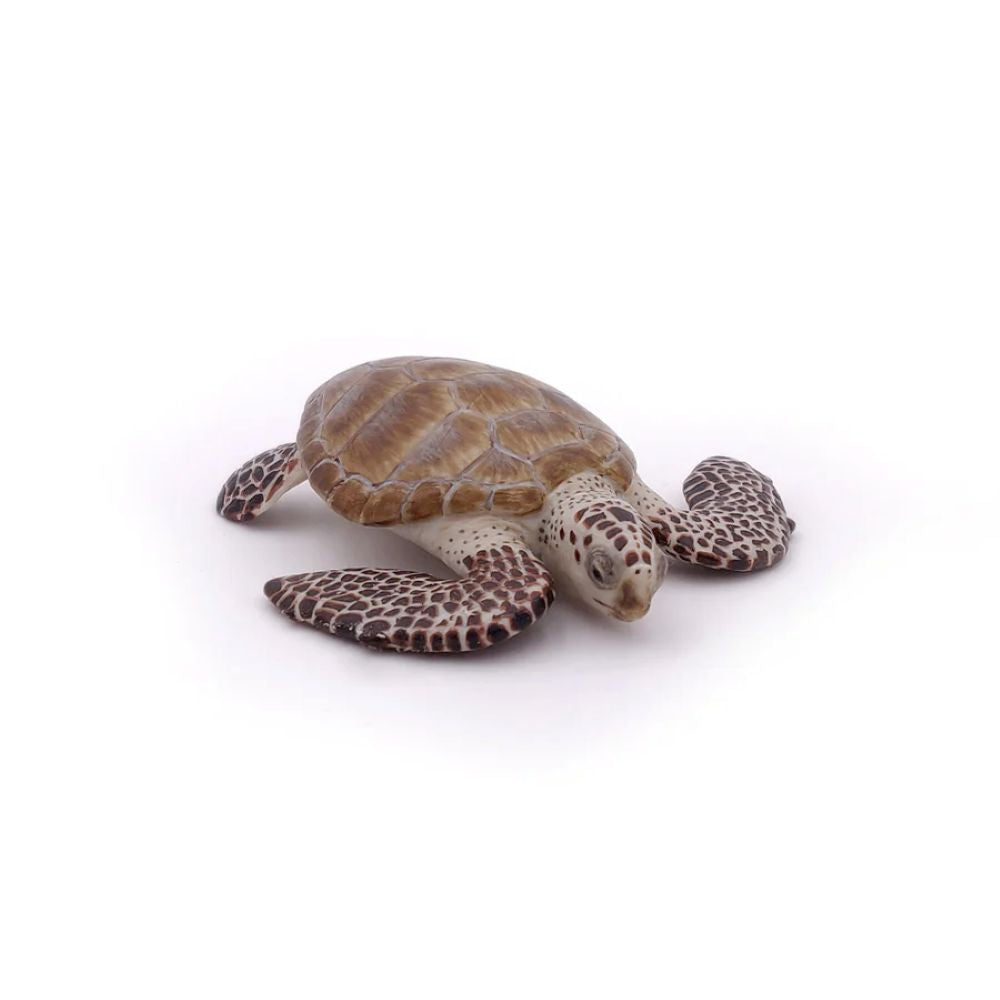 Papo Loggerhead turtle 56005