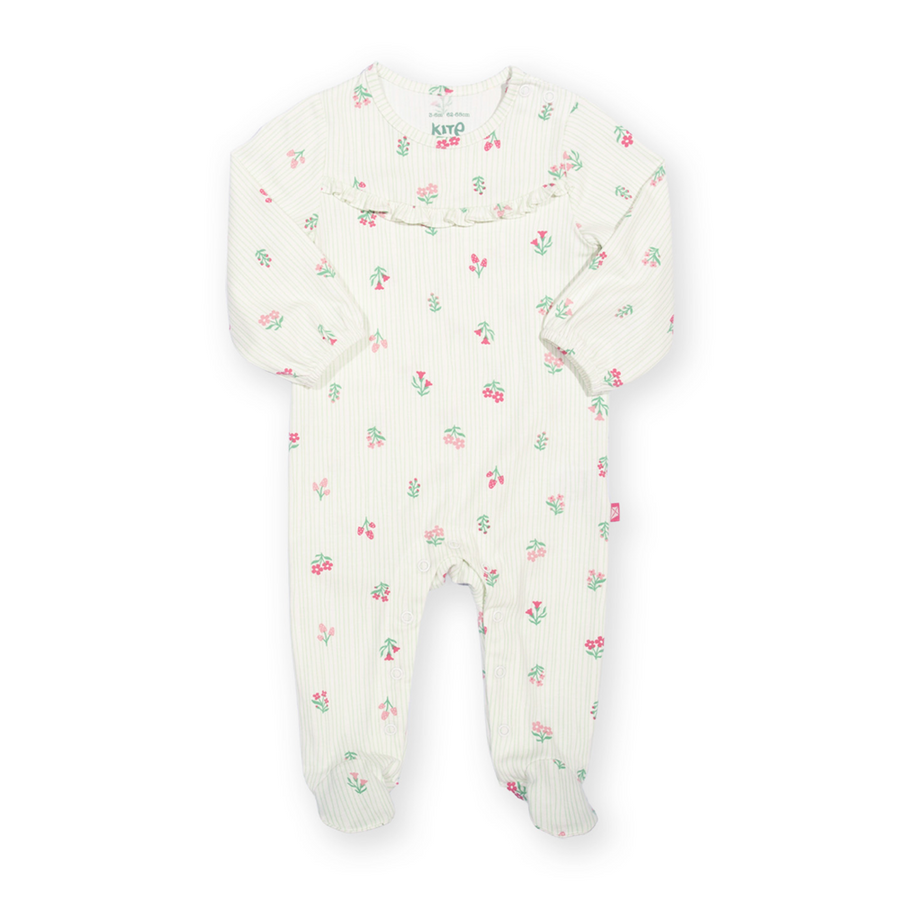 Kite Pixie Glade Sleepsuit (63-8683-BGS)