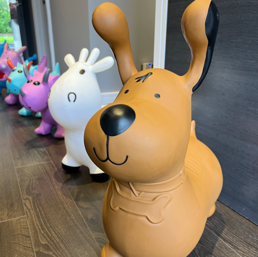 Happy Hopperz BROWN DOG - Space Hopper For Little People