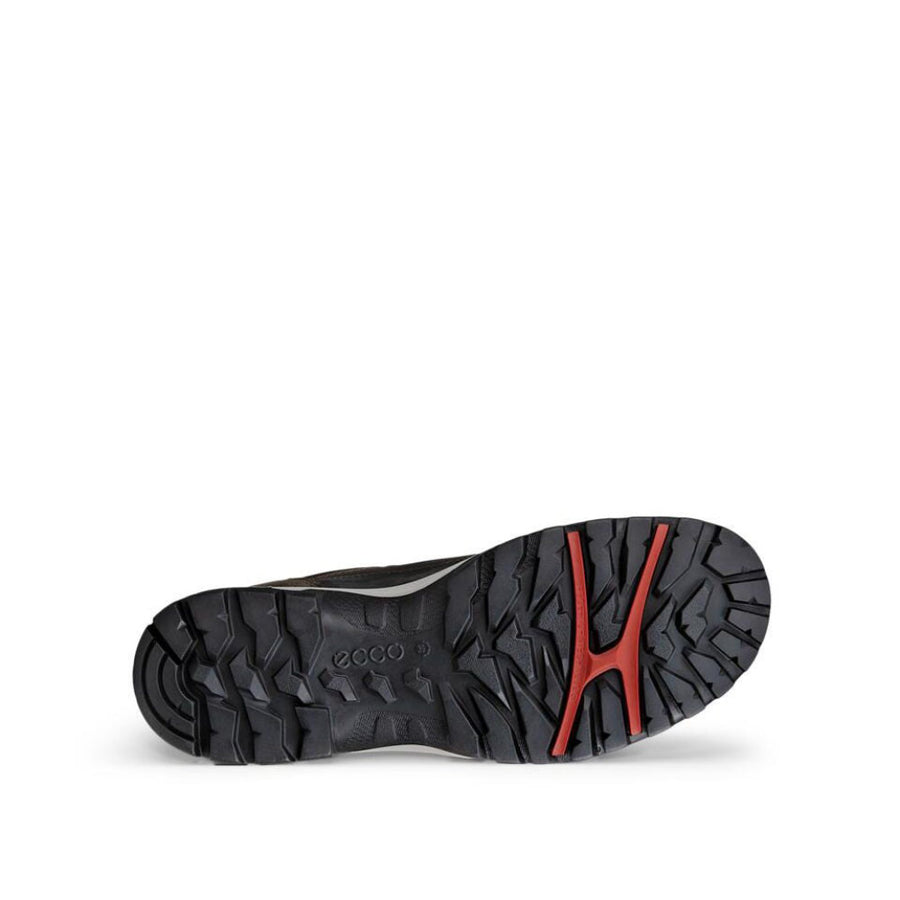 Ecco 811433 55779 Xpedition III Waterproof Dark Clay Shoes