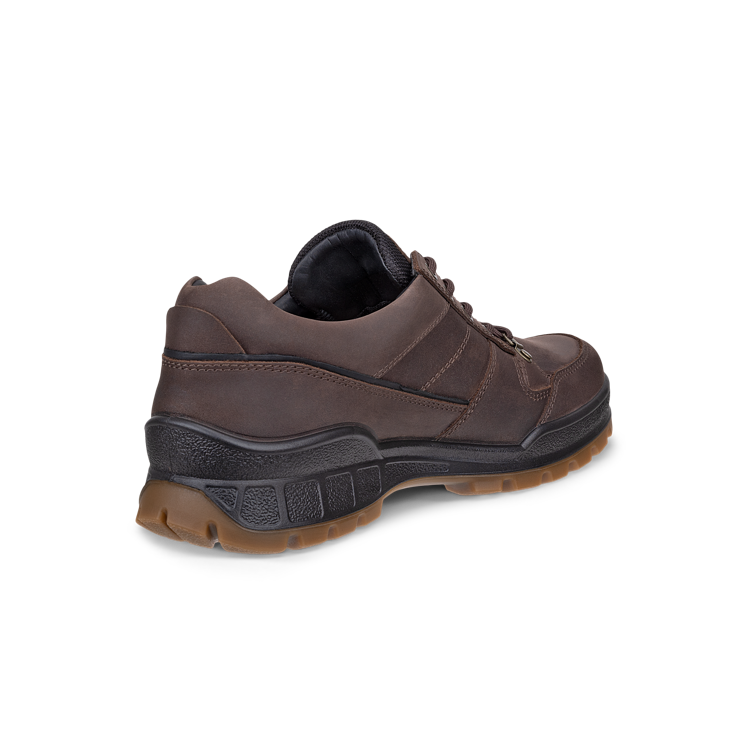 Ecco 833384-52962 Track 25 M Walker Waterproof Coffee / Black Shoes