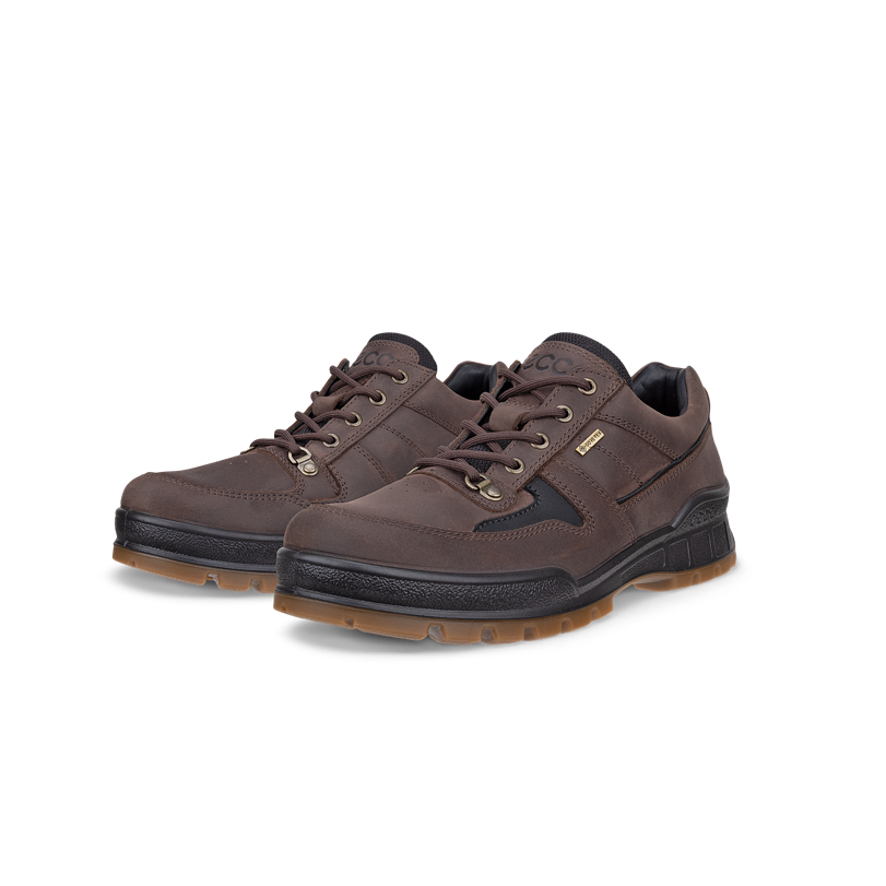 Ecco 833384-52962 Track 25 M Walker Waterproof Coffee / Black Shoes