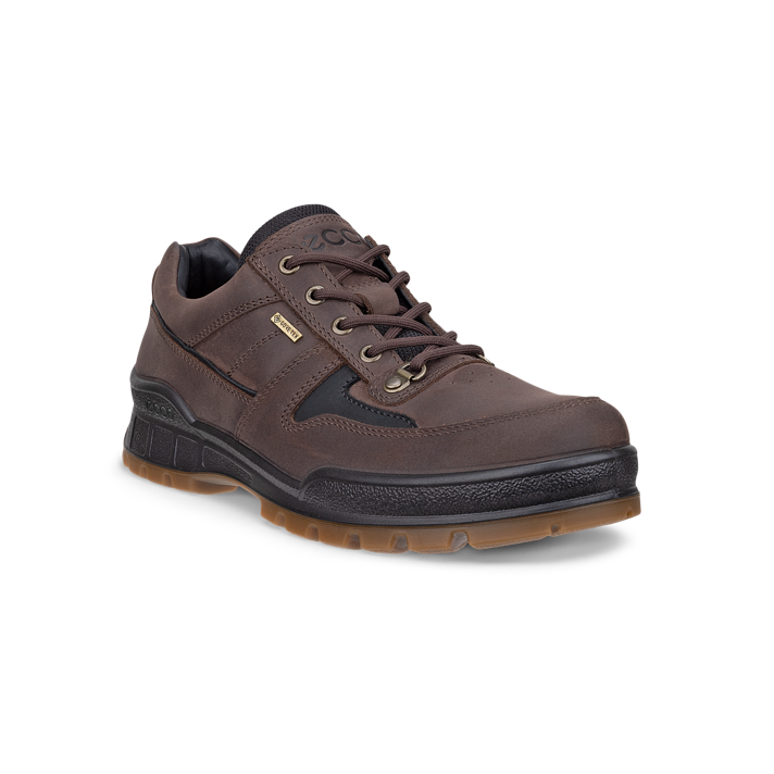 Ecco 833384-52962 Track 25 M Walker Waterproof Coffee / Black Shoes