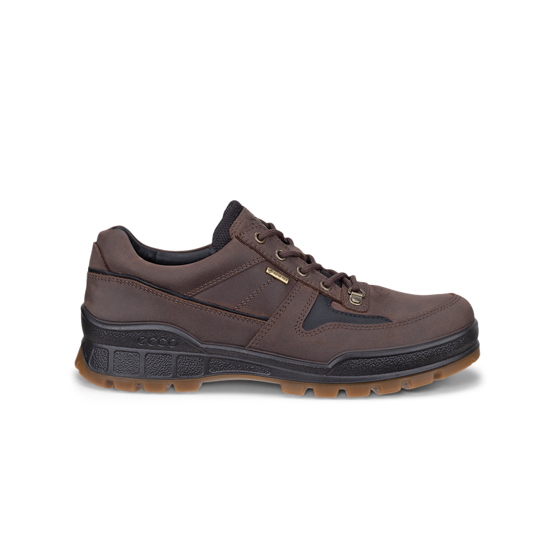 Ecco 833384-52962 Track 25 M Walker Waterproof Coffee / Black Shoes