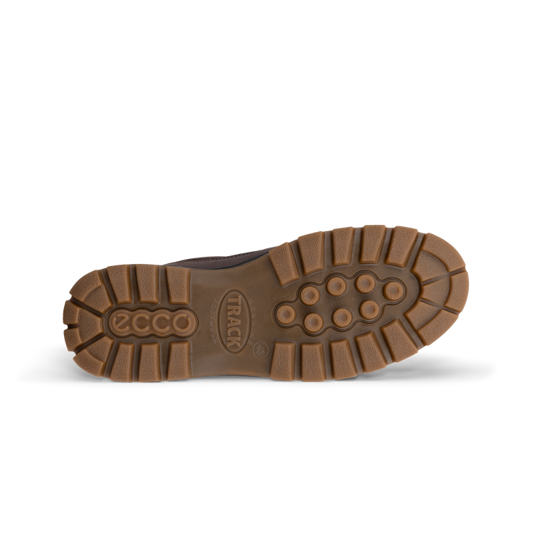 Ecco 833384-52962 Track 25 M Walker Waterproof Coffee / Black Shoes