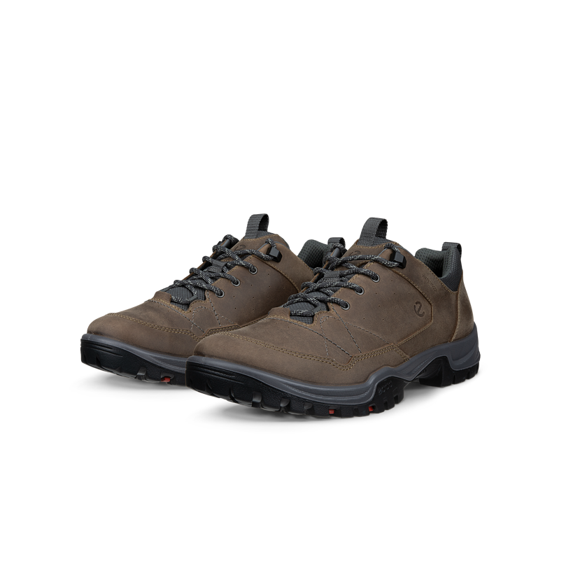 Ecco 855604-61927 Receptor Trekk M Waterproof Nutmeg Brown Magnet Shoes