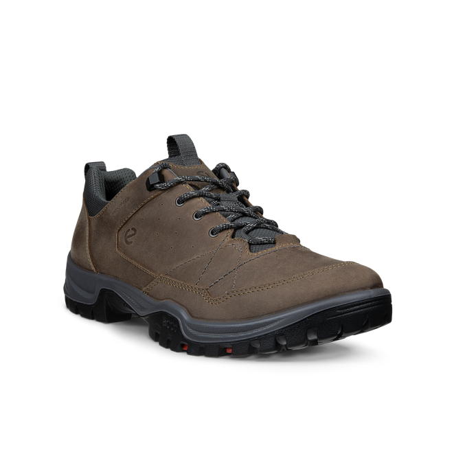 Ecco 855604-61927 Receptor Trekk M Waterproof Nutmeg Brown Magnet Shoes