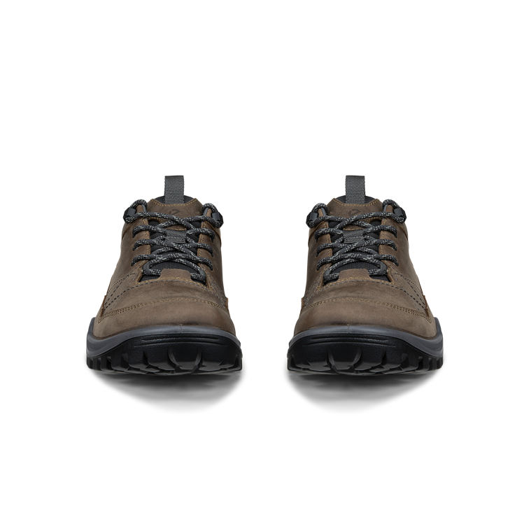 Ecco 855604-61927 Receptor Trekk M Waterproof Nutmeg Brown Magnet Shoes