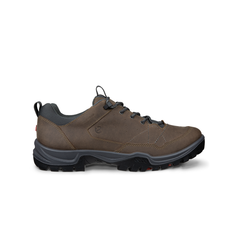 Ecco 855604-61927 Receptor Trekk M Waterproof Nutmeg Brown Magnet Shoes