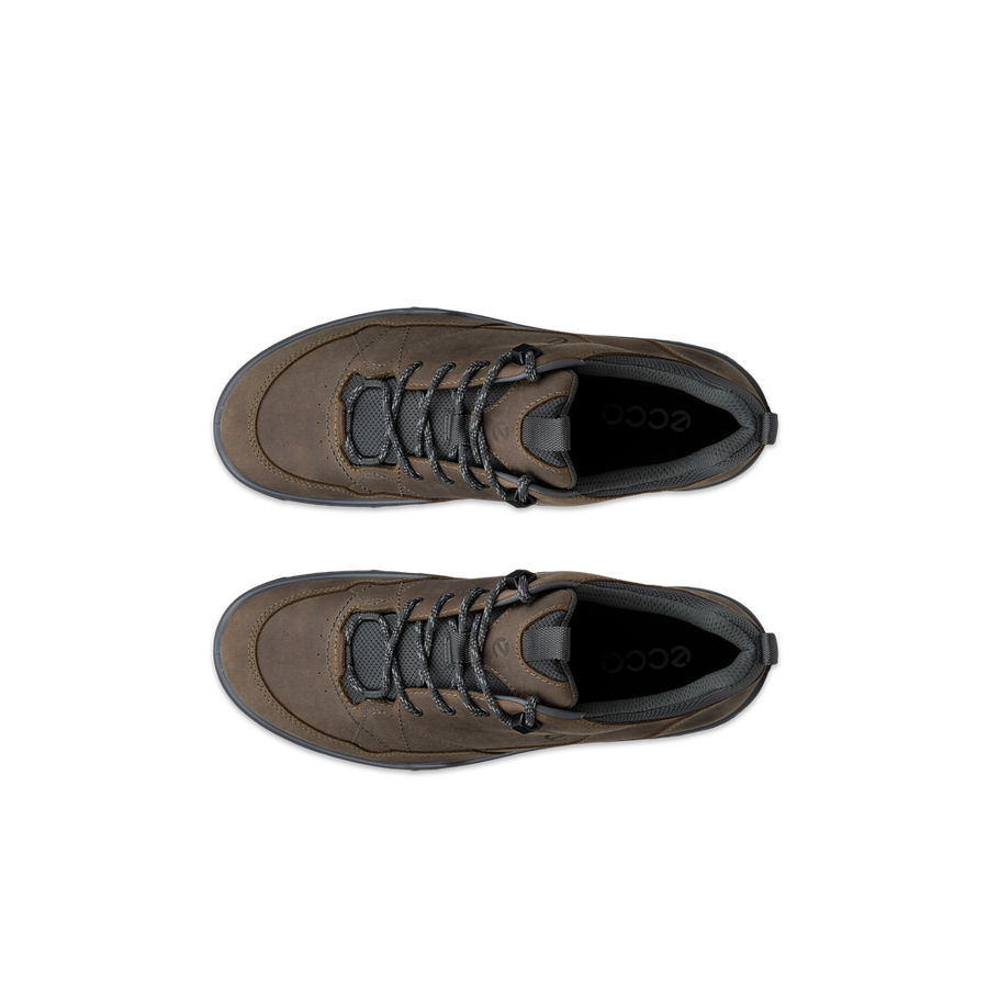 Ecco 855604-61927 Receptor Trekk M Waterproof Nutmeg Brown Magnet Shoes