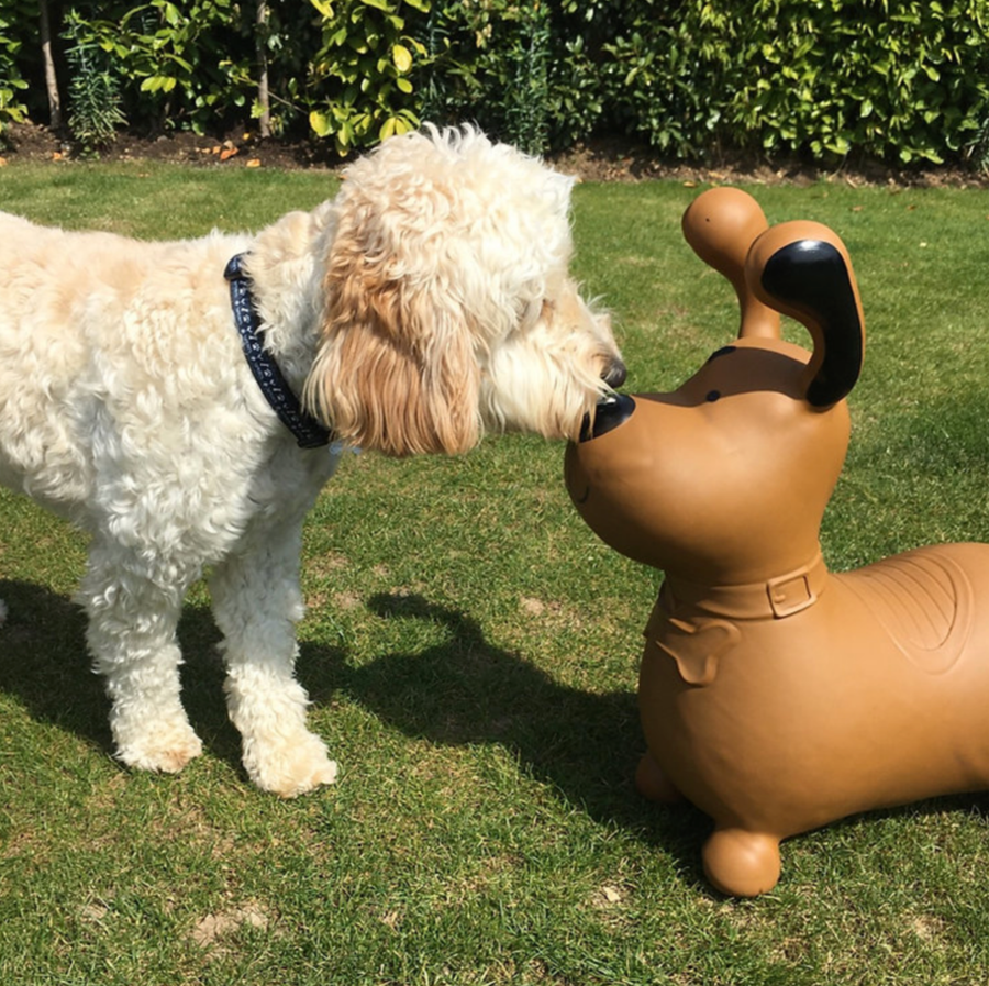 Happy Hopperz BROWN DOG - Space Hopper For Little People