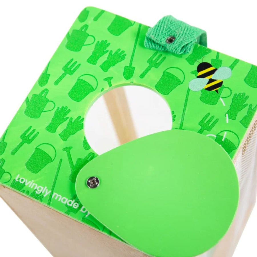 Bigjigs Bug (Box of 4) 34026