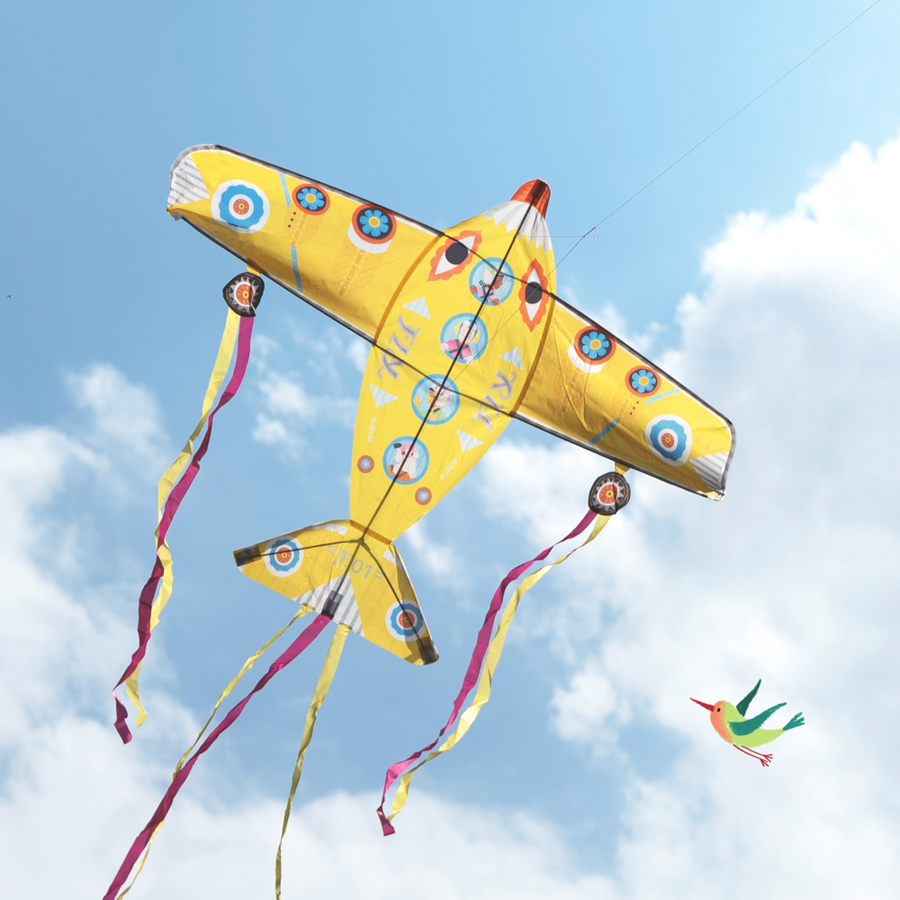 Djeco Skill Games - Kites - Maxi Plane DJ02161
