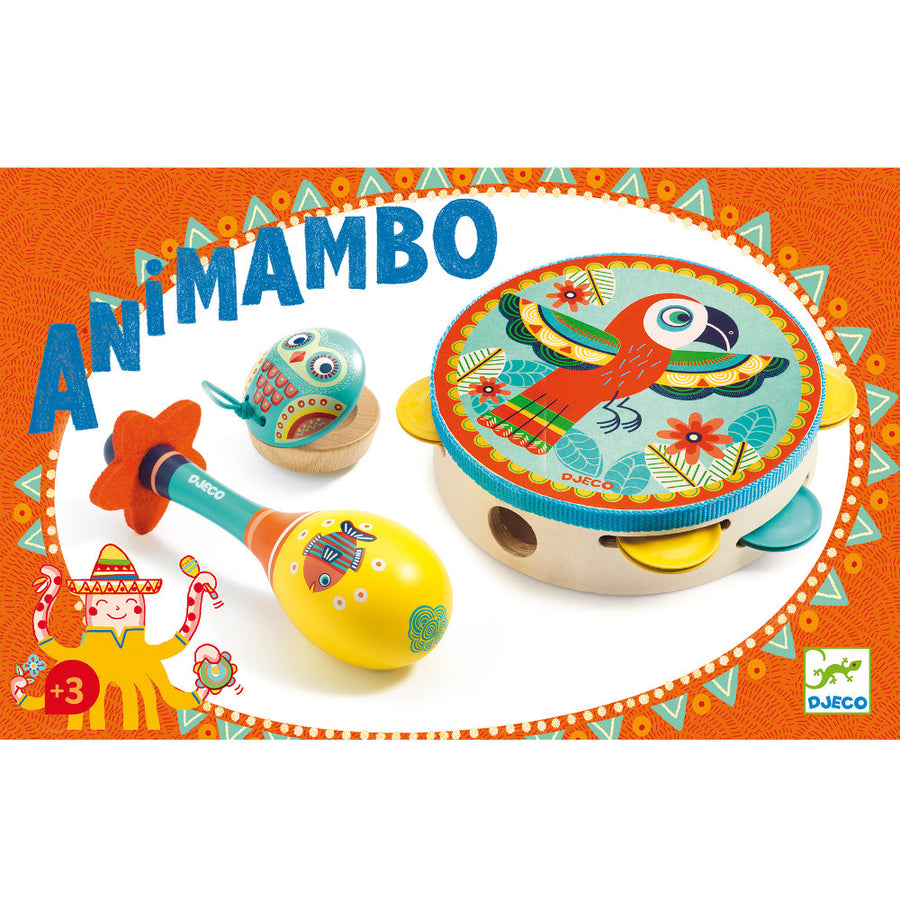 Djeco Set of 3 Instruments  -  DJ06016