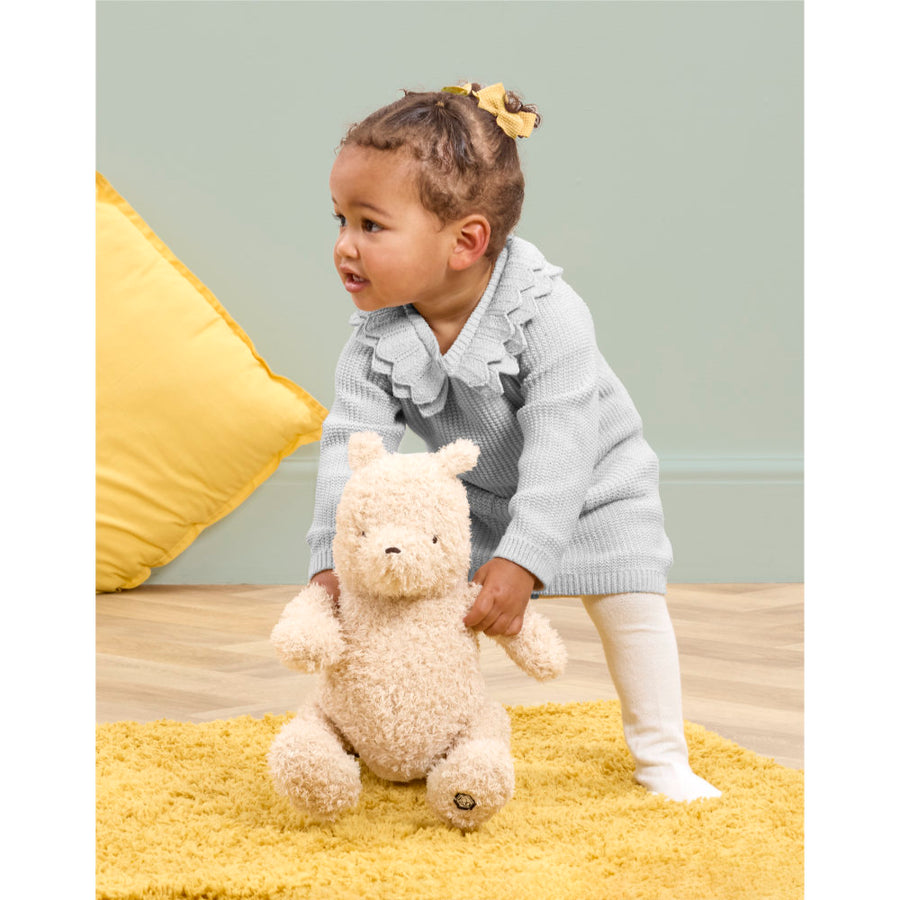 Disney Winnie The Pooh 100 Commemorative Soft Toy DN2476