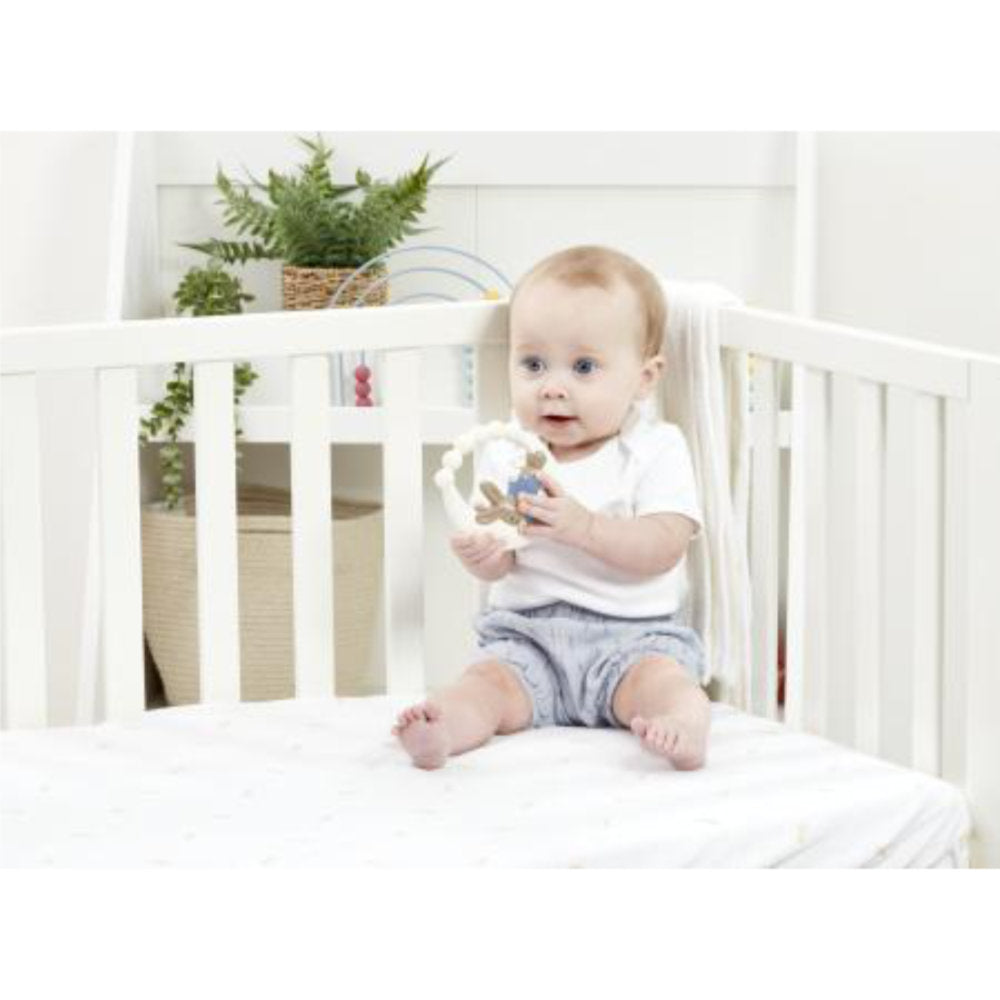 Peter Rabbit Signature Rubber Teether PO2069