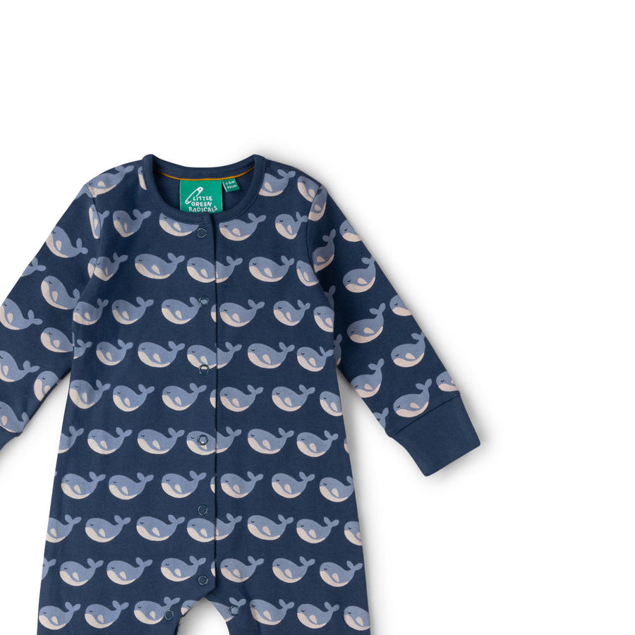 Little Green Radicals Singing Whales Organic Babygrow - Blue