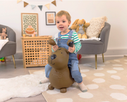 Happy Hopperz BROWN DOG - Space Hopper For Little People